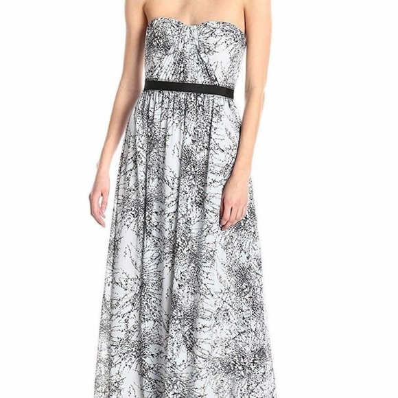 bcbg draped chiffon maxi dress